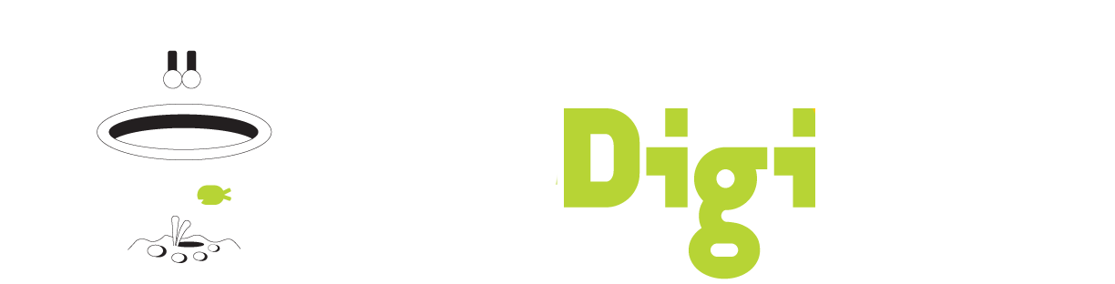 The Digicat